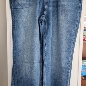 Torrid Blue Denim Jeans